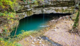 Mammoth Cave National Park