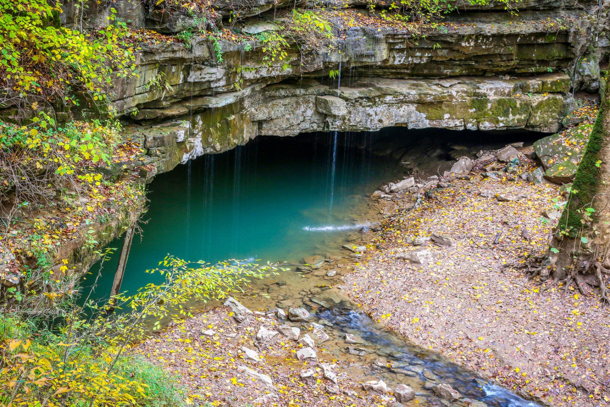 Mammoth Cave National Park