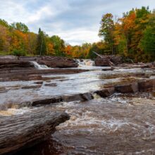 A river in an autumn forest