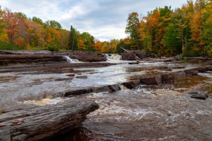 A river in an autumn forest