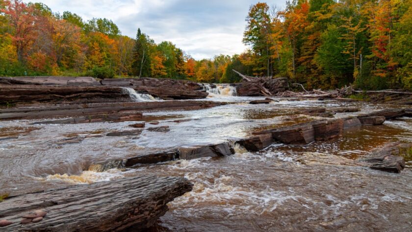 A river in an autumn forest