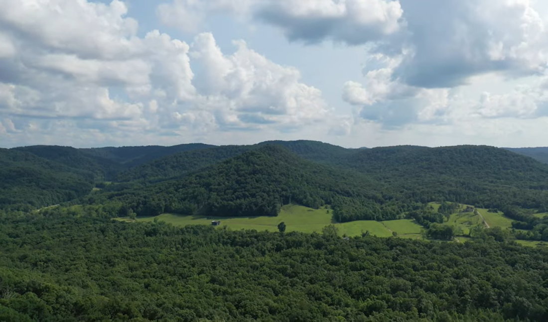 mountains covered with trees