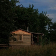 Shed in a woods