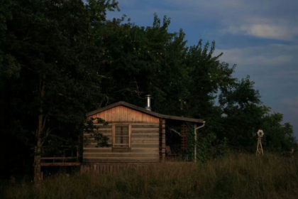 Shed in a woods