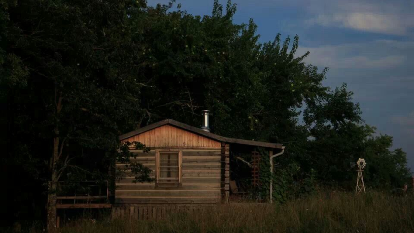 Shed in a woods