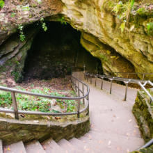 Mammoth Cave National Park