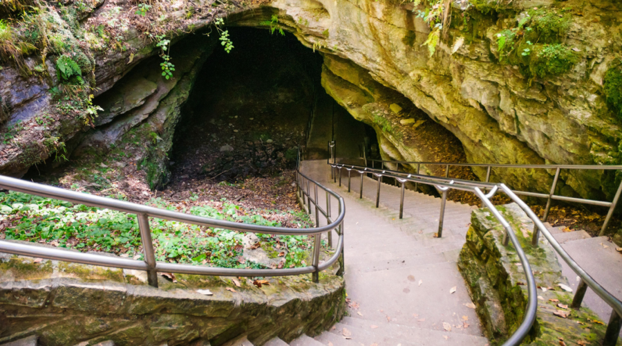 Mammoth Cave National Park