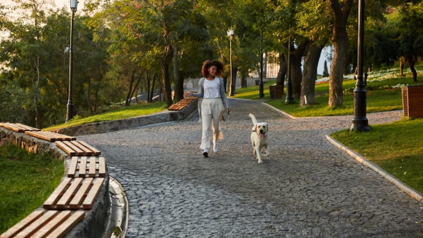 A person walking her dog in the park