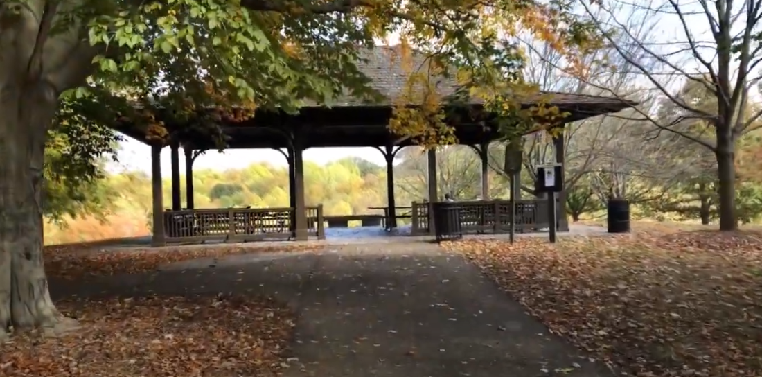 View of Cherokee Park with an open shelter and trees in the surroundings