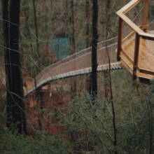 treehouse with ladders in the forest with trees