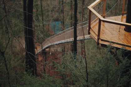 treehouse with ladders in the forest with trees