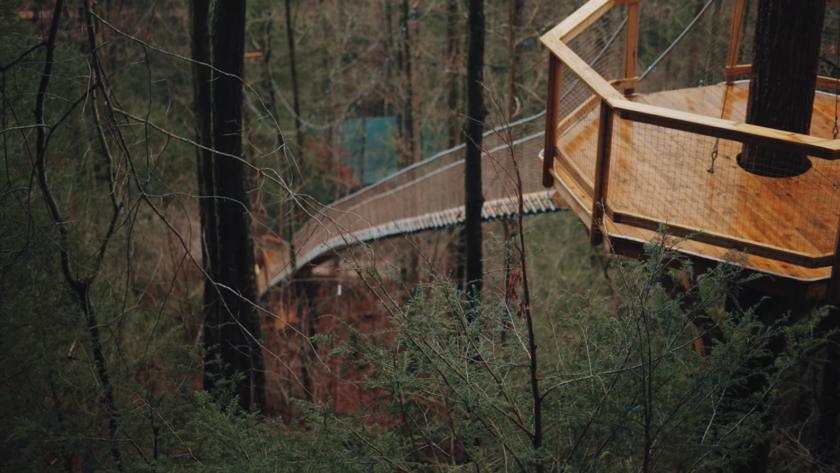 treehouse with ladders in the forest with trees