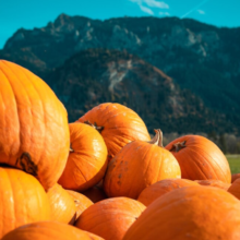 Pumpkins of different sizes stacked on top of each other behind a mountain