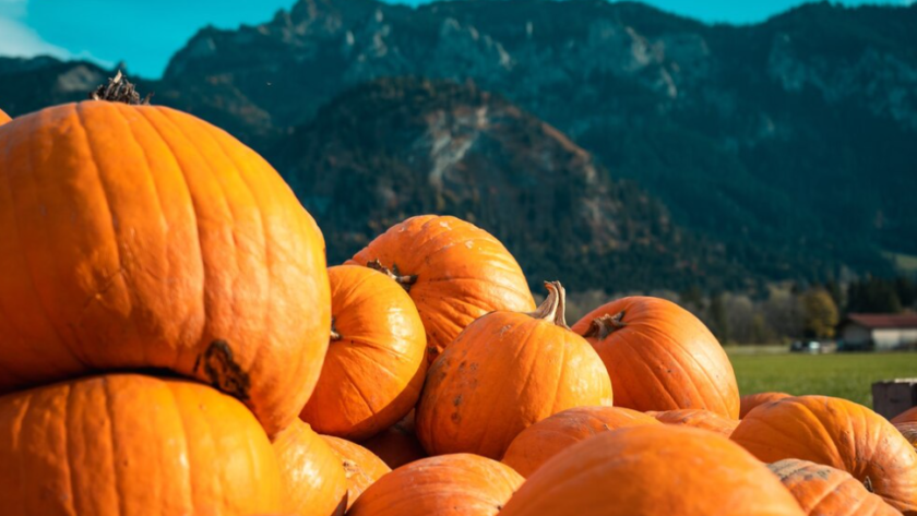 Pumpkins of different sizes stacked on top of each other behind a mountain