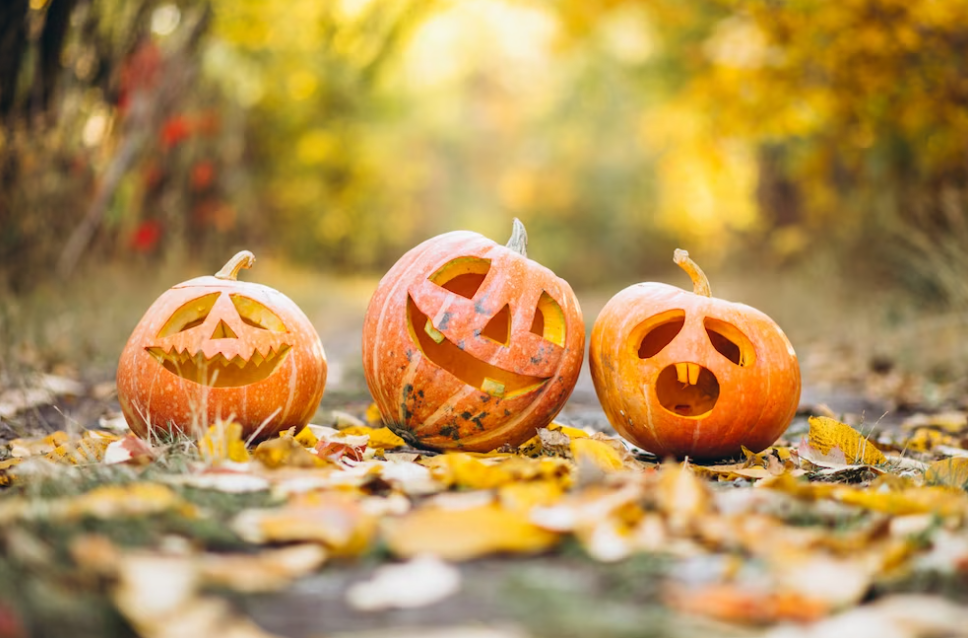 three Halloween pumpkins on autumn leaves in the park