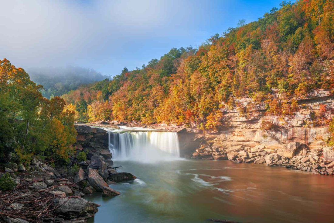 The View from the Daniel Boone National Forest