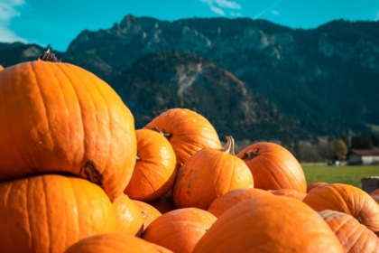 Pumpkins of different sizes stacked on top of each other behind a mountain